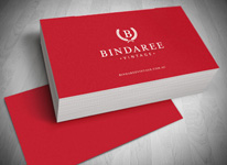 Business Card Design Gold Coast